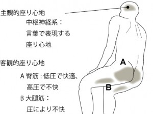 図６　生理学的モデル